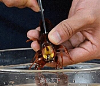 潜江风味油焖大虾的做法步骤：4