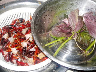 油爆紫苏小龙虾的做法步骤：4