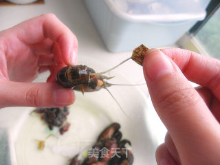 张牙舞爪的季节很疯狂——【红烧小龙虾】的做法步骤：2