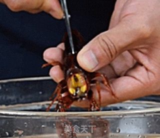 五七风味油焖小龙虾的做法步骤：4
