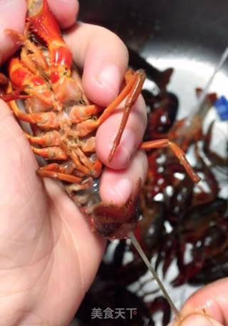 清蒸小龙虾的做法步骤：2