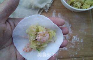 水晶磷虾饺子的做法步骤：10