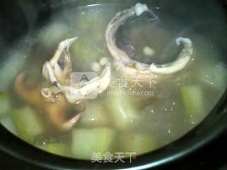 冬瓜薏米墨鱼汤的做法步骤：7
