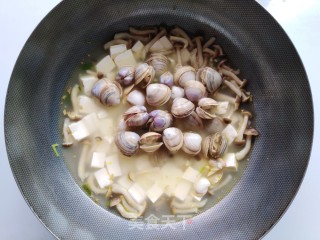 蛤蜊豆腐汤的做法步骤：7