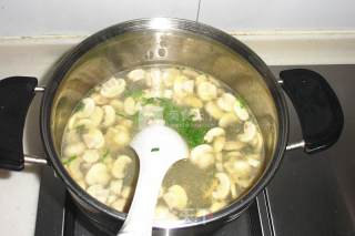 蛤蜊蘑菇汤的做法步骤：7
