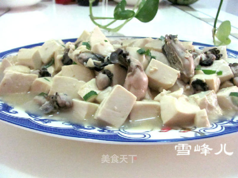 牡蛎豆腐的做法