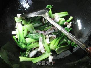 鱿鱼炒青菜 的做法步骤：5