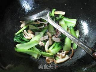 鱿鱼炒青菜 的做法步骤：8