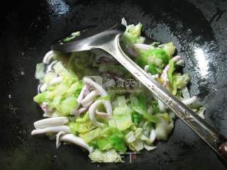 鱿鱼炒圆白菜的做法步骤：10