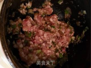 萝卜扇贝饺子的做法步骤：4