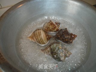 炒海螺的做法步骤：1