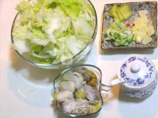 海螺炒白菜片的做法步骤：1