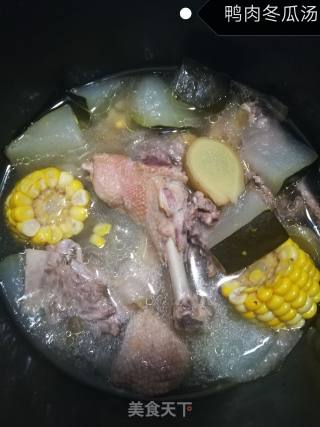 鸭肉冬瓜汤的做法步骤：5