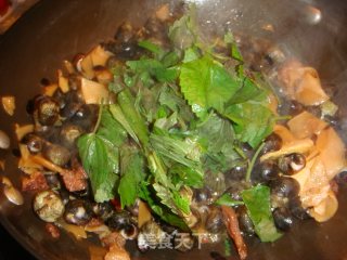 紫苏酸笋炒石螺的做法步骤：10