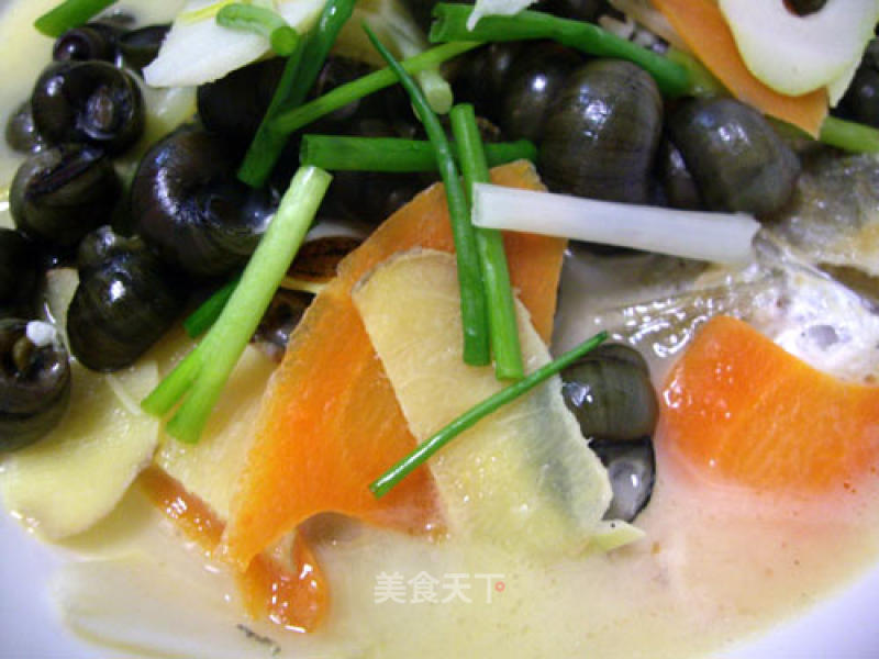 清明美食——螺蛳鱼汤的做法