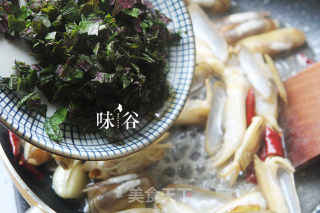 #春食野菜香#紫苏炒蛏子的做法步骤：4