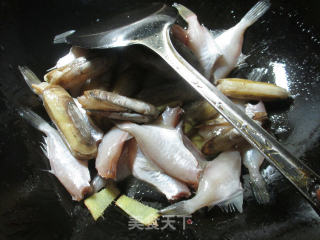 蛏子煮小橡皮鱼的做法步骤：4