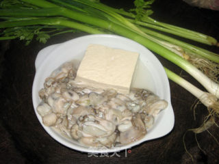 蚵豆腐蛎的做法步骤：1