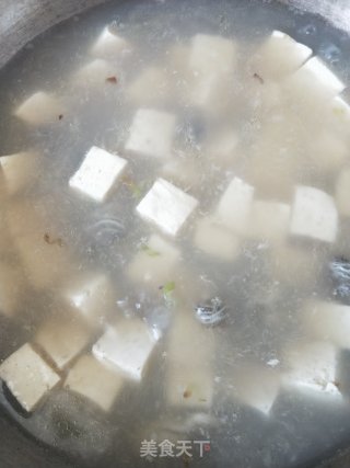 豆腐海蛎汤的做法步骤：10