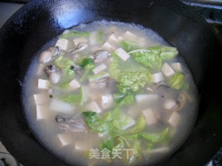 牡蛎豆腐白菜汤的做法步骤：8