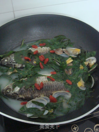 鲫鱼花蛤枸杞叶汤的做法步骤：10