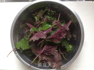 紫苏炒花甲的做法步骤：1