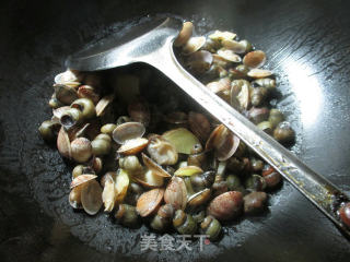 蛳螺炒花蛤 的做法步骤：5