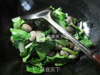 小白菜花蛤汤的做法步骤：5