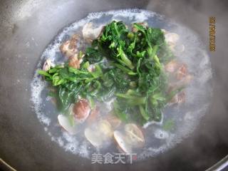 菠菜花蛤粉丝汤的做法步骤：4