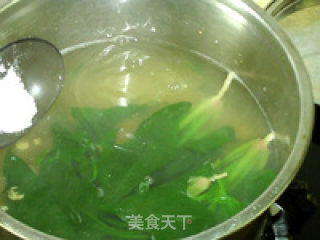 绿菠淡菜汤的做法步骤：9