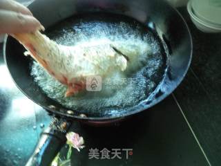 豆瓣酱烧鲤鱼的做法步骤：5