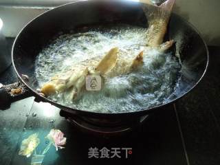 豆瓣酱烧鲤鱼的做法步骤：6