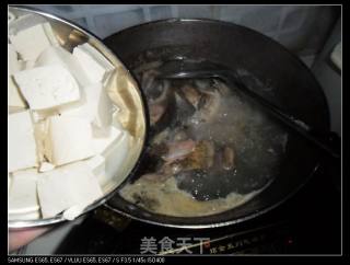 鲤鱼炖豆腐的做法步骤：7