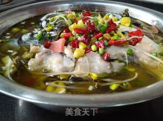 【酸菜火锅鱼】的做法步骤：14