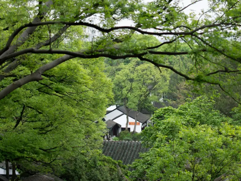 熬了三夜把家里老婆哄回娘家的气全捋顺了 半个朋友圈都在追问我挽回老婆的招