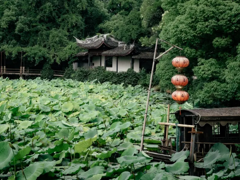 各种分手挽回的机构靠谱么_分手挽回机构,我替你们踩过坑了 各种分手挽回的机构靠谱么_分手挽回机构,我替你们踩过坑了