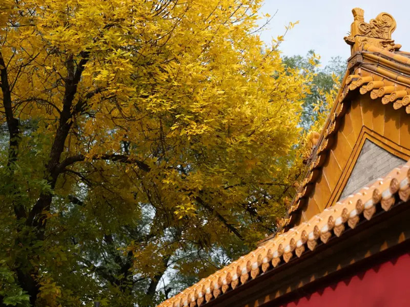 分手后怎么挽回双子座男朋友_双子座分手后还有戏吗?这3步让他主动回头 分手后怎么挽回双子座男朋友_双子座分手后还有戏吗?这3步让他主动回头