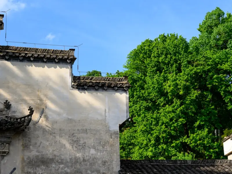 付费情感咨询_花3000块买情感咨询，我到底在图什么？